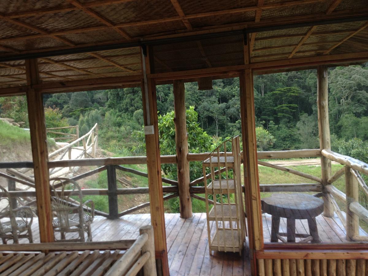 Rushaga Gorilla Lodge Bugambira ห้อง รูปภาพ