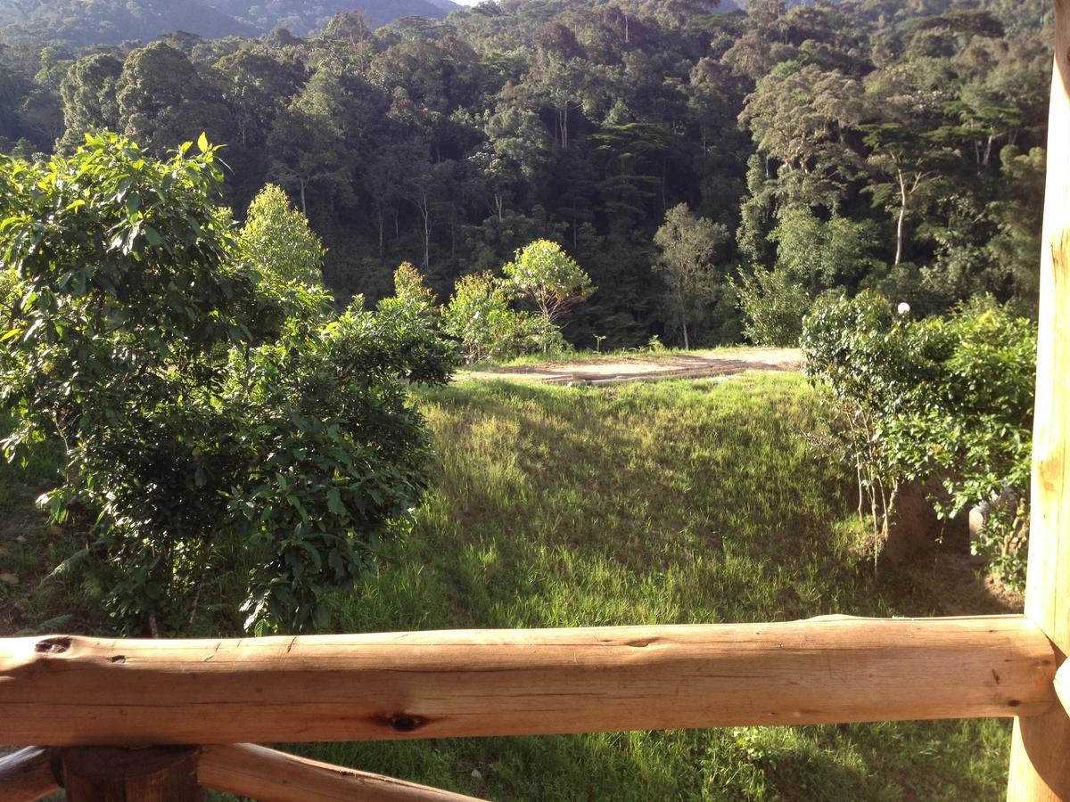 Rushaga Gorilla Lodge Bugambira ห้อง รูปภาพ